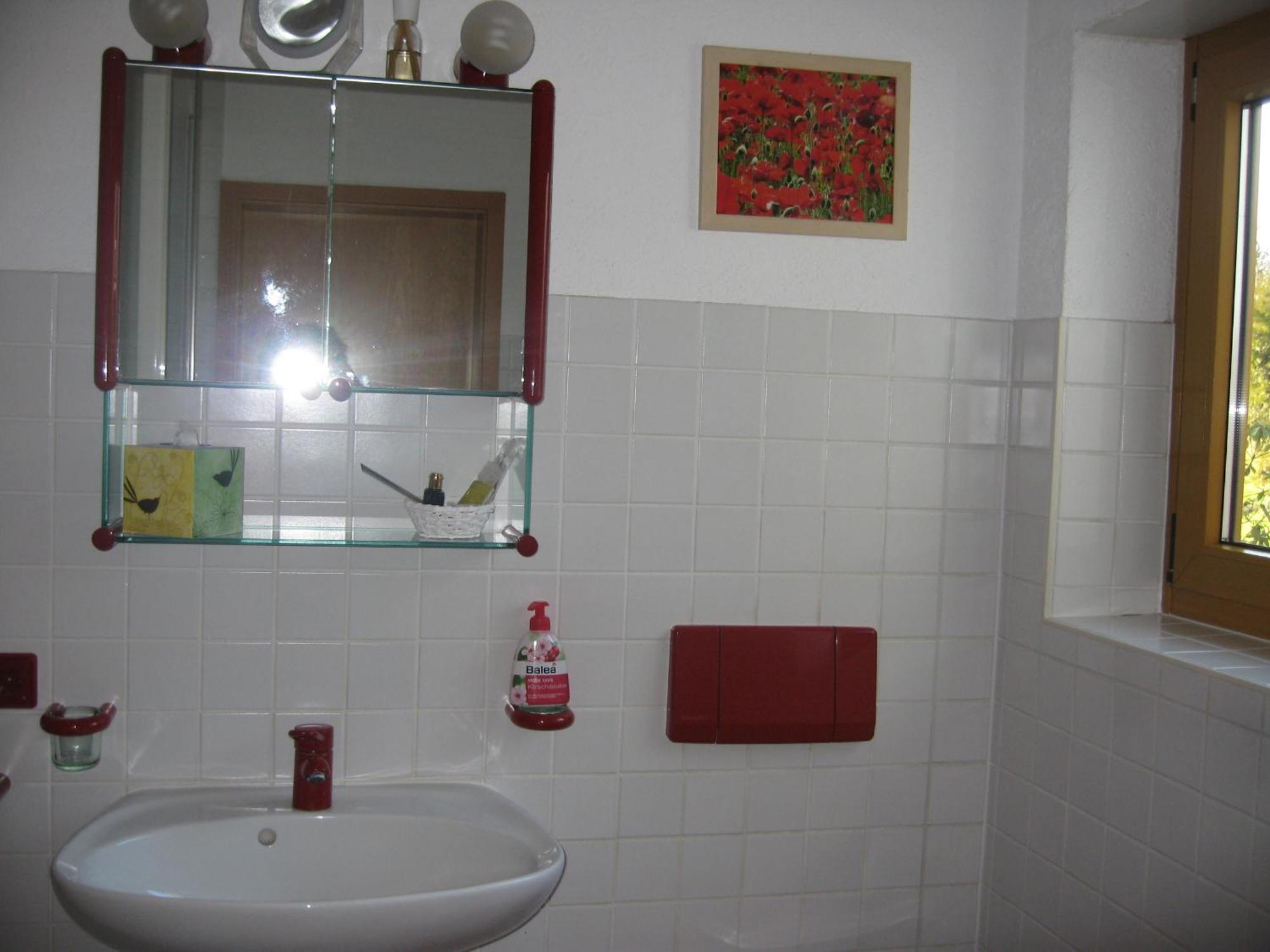 Unterm Nussbaeumle Apartment Adelhausen ภายนอก รูปภาพ